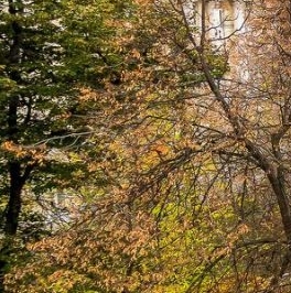 Аренда 3-комн квартиры на вторичном рынке улица Остоженка, 40/1