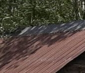 Продать Земельные участки, земля Царский склон кп, Ропшинская долина кп   