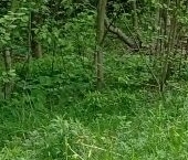 Продать Земельные участки, земля Ключи СНТ   