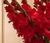 Продать Квартиры вторичка улица Большая Ордынка, 67   