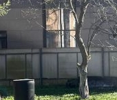 Продать Дачи, коттеджи, загородные дома проспект Коннолахтинский, 53   