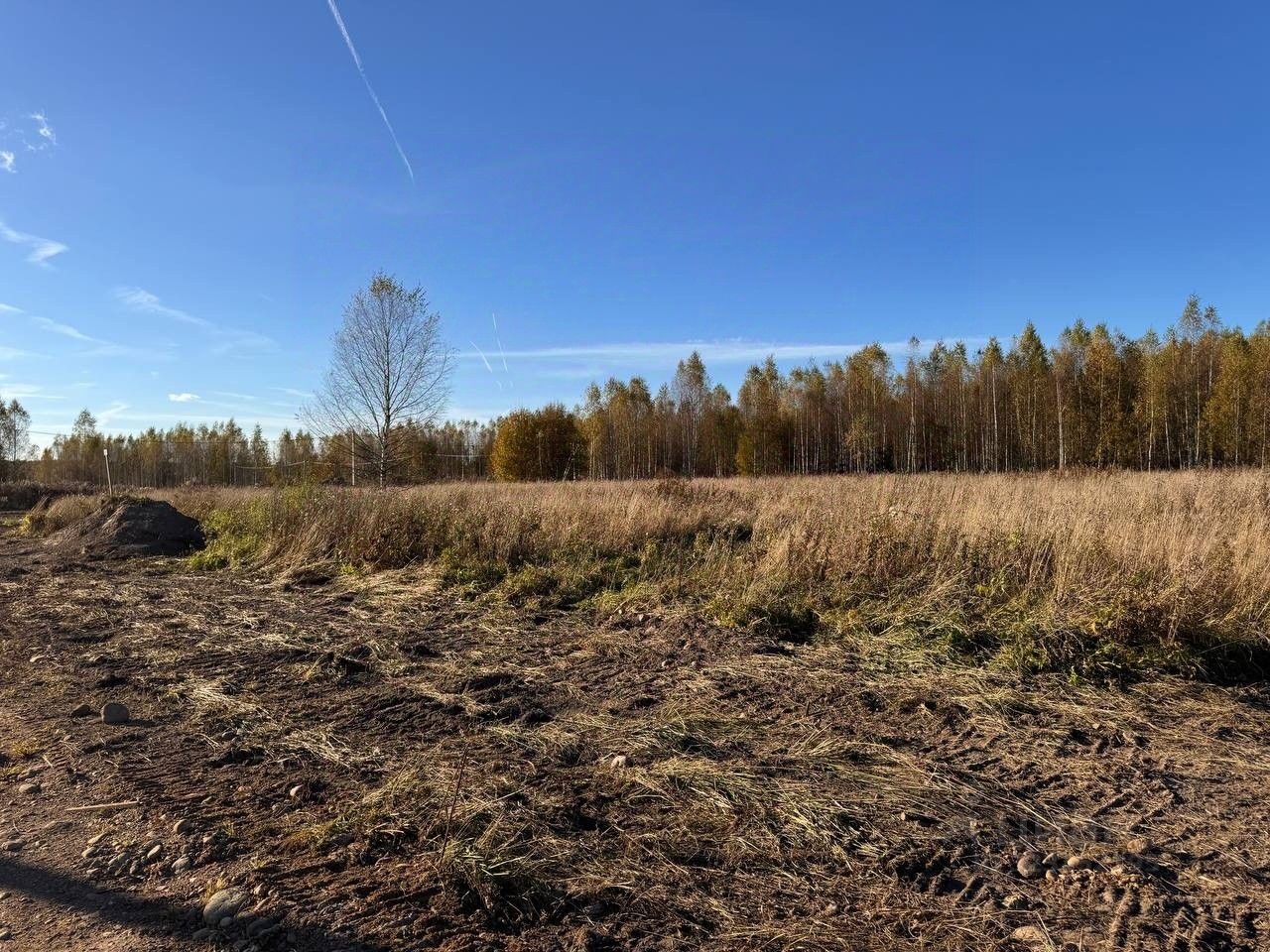 Продажа земли д. Турышкино, улица Новая