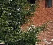 Продать Дачи, коттеджи, загородные дома д. Кизлярское, 8   