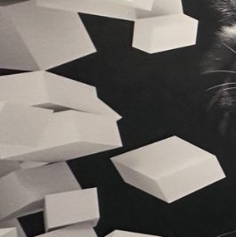 Продажа 2-комн квартиры на вторичном рынке Ивантеевка, Советский проспект, 11/10 Продажа 2-комн квартиры на вторичном рынке Ивантеевка, Советский проспект, 11/10