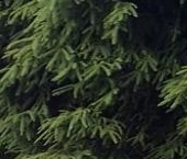 Продать Дачи, коттеджи, загородные дома Алюмино СНТ, улица Северная, 15   