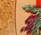 Продать Дачи, коттеджи, загородные дома Гатчина, Северная улица   