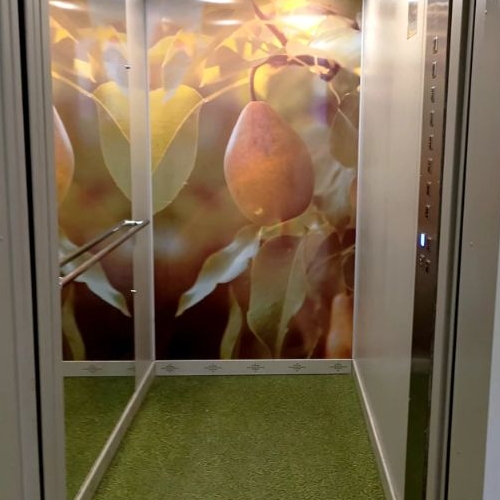 Студия пос. Янино-1, улица Ясная