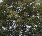 Продать Квартиры вторичка Минусинская улица, 6   