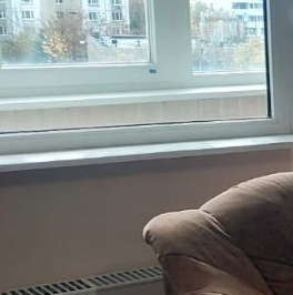 Аренда 1-комн квартиры на вторичном рынке Профсоюзная улица, 124