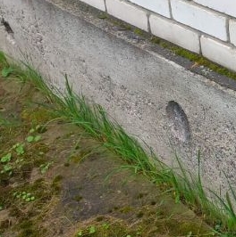 Продажа дома Отрадное, 5-я линия, д. 108 Продажа дома Отрадное, 5-я линия, д. 108