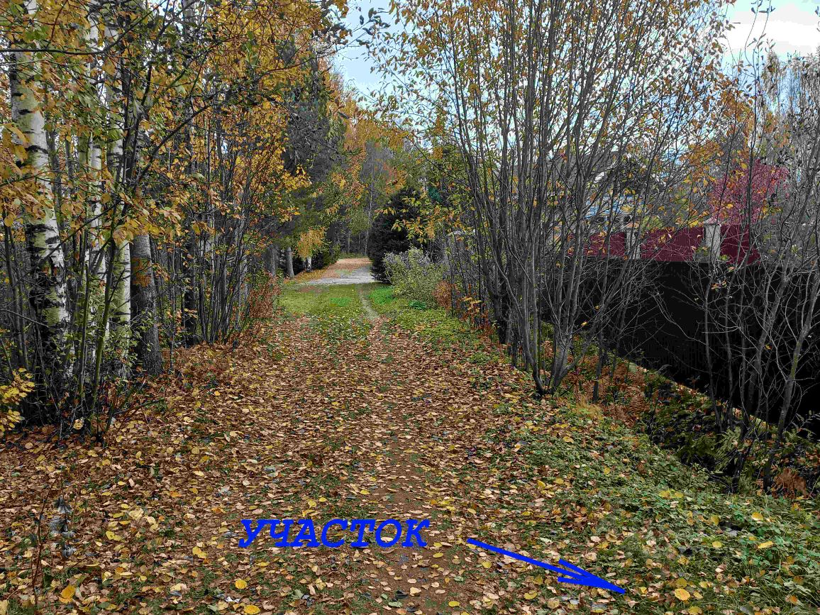 Продажа дома пос. Овсяное, улица Нахимовская