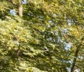 Продать Квартиры вторичка Карманицкий переулок, 5   