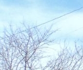 Продать Квартиры вторичка пос. Гладкое, улица Центральная, 26/2   