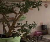 Продать Квартиры вторичка пос. Курск, 6   