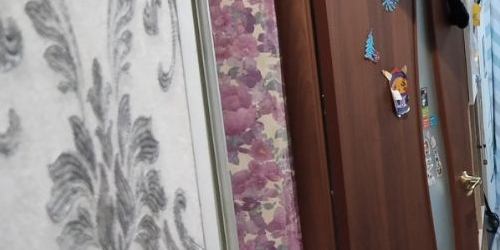 2-комн квартира Союзный проспект, 13К1