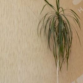 Продажа 2-комн квартиры на вторичном рынке д. Куттузи, улица Уланская, 5 Продажа 2-комн квартиры на вторичном рынке д. Куттузи, улица Уланская, 5