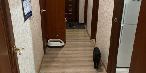 2-комн квартира улица Щипок,  д. 13 с1