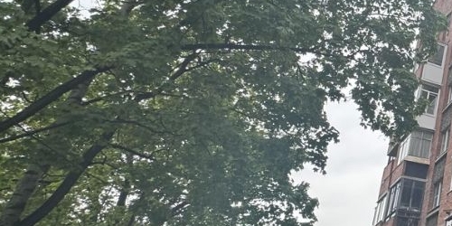 3-комн квартира Костромской проспект, 24