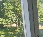 Продать Квартиры вторичка Волхов, улица Ломоносова, 23   