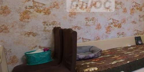 1-комн квартира Щелковское шоссе, 26К2