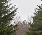 Продать Дачи, коттеджи, загородные дома Спецкартонная Фабрика СНТ, 23   