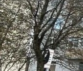 Продать Квартиры вторичка Отрадное, улица Гагарина, 20   