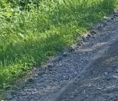 Продать Земельные участки, земля Ленинградское СНТ   