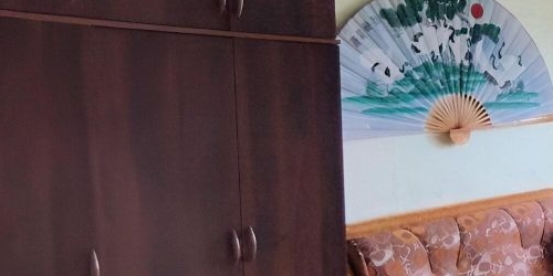 2-комн квартира Пушкин, Церковная улица, 46