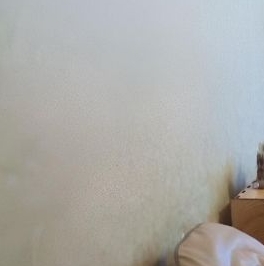 Аренда 1-комн квартиры на вторичном рынке проспект Ветеранов, 118К1 Аренда 1-комн квартиры на вторичном рынке проспект Ветеранов, 118К1