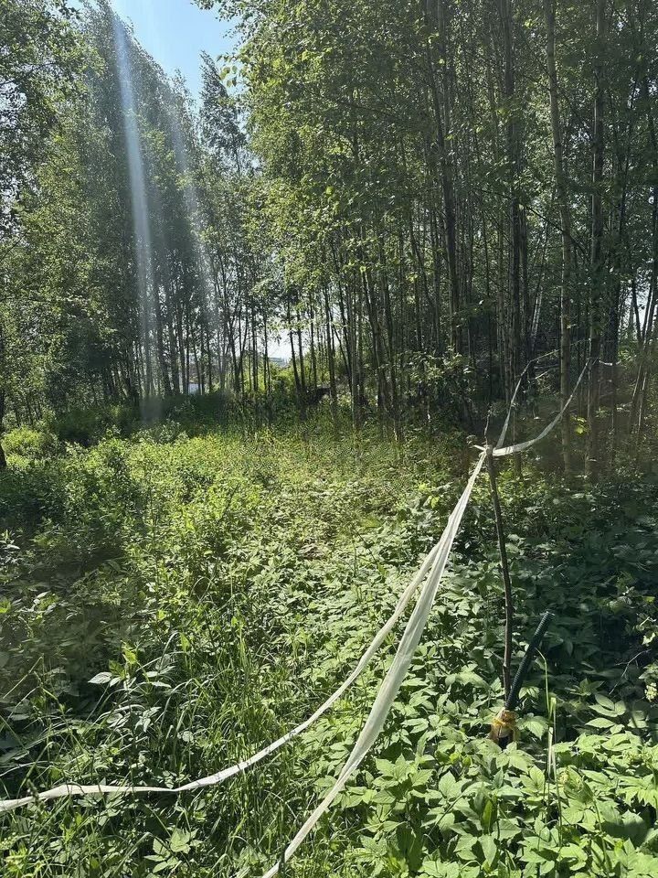 Продажа земли д. Юкки, аллея Еловая, 48А