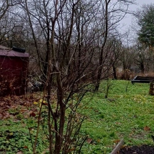 Земельный участок Коммунар г., улица Новая, 8