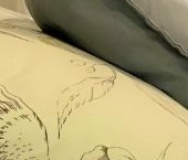 Сдать в аренду Квартиры вторичка улица Оптиков, 45к1   