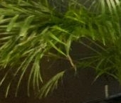 Продать Квартиры вторичка Ленинградский проспект, 34А   