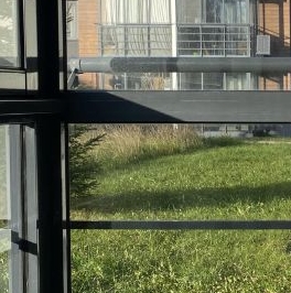 Аренда 1-комн квартиры на вторичном рынке Сампо ЖК, д. Красный Поселок, улица Фадеева,  д. 6