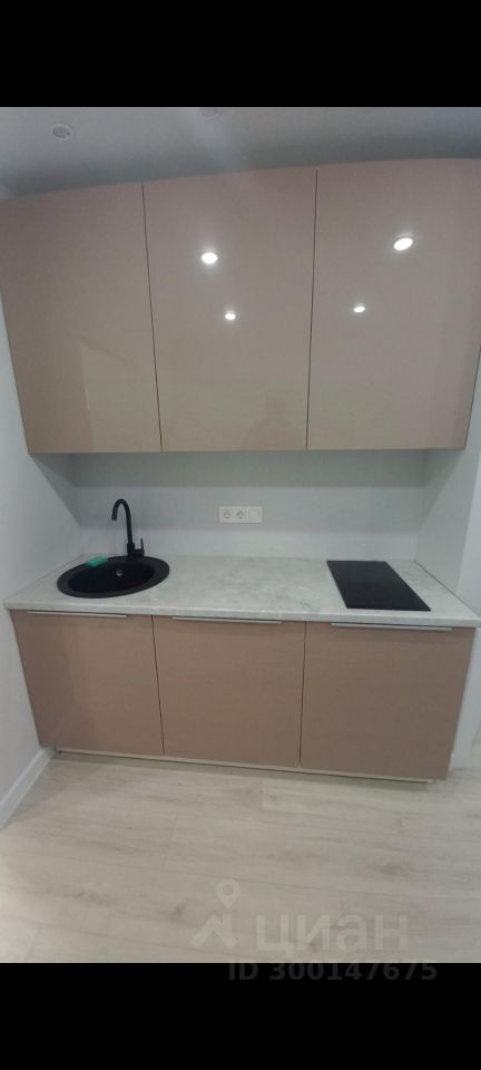 Аренда 1-комн квартиры на вторичном рынке пос. Шушары, проспект Старорусский, 11