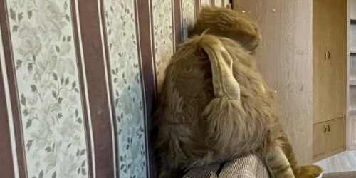 2-комн квартира 2-я Радиаторская улица, 6