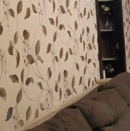 Аренда 2-комн квартиры на вторичном рынке проспект Науки, 39 Аренда 2-комн квартиры на вторичном рынке проспект Науки, 39