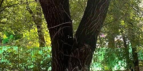 4-комн квартира Краснодонская улица, 24