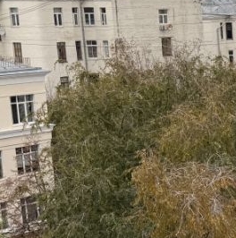 Аренда 1-комн квартиры на вторичном рынке переулок Калошин, 6С1