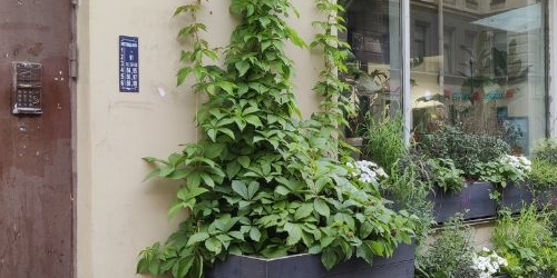 3-комн квартира переулок Гривцова, 13/11