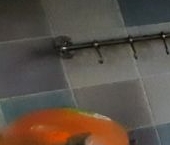 Сдать в аренду Квартиры вторичка улица Федора Полетаева, 36   