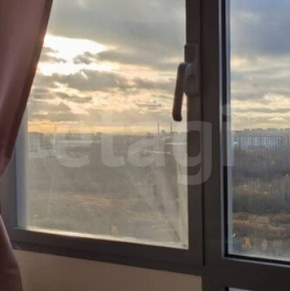 Продажа 1-комн квартиры на вторичном рынке Чарушинская улица,  д. 8