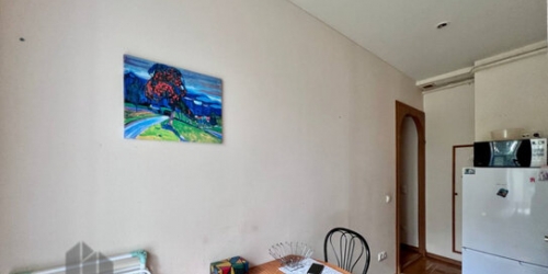 1-комн квартира Зеленина Б. ул,  д. 26