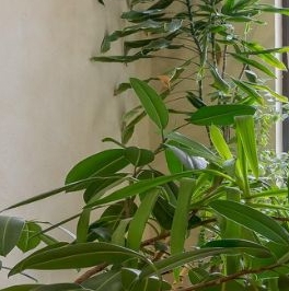 Продажа 4-комн квартиры на вторичном рынке Казарменный переулок, 3 Продажа 4-комн квартиры на вторичном рынке Казарменный переулок, 3