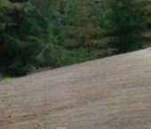 Продать Дачи, коттеджи, загородные дома д. Мендсары, улица Набережная, 10   