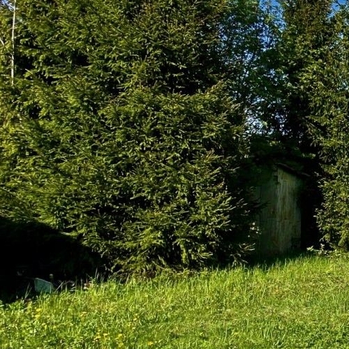 Коттедж/дом Сирень СНТ