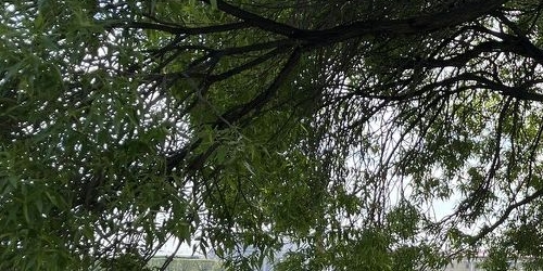 4-комн квартира проспект Добролюбова, 2