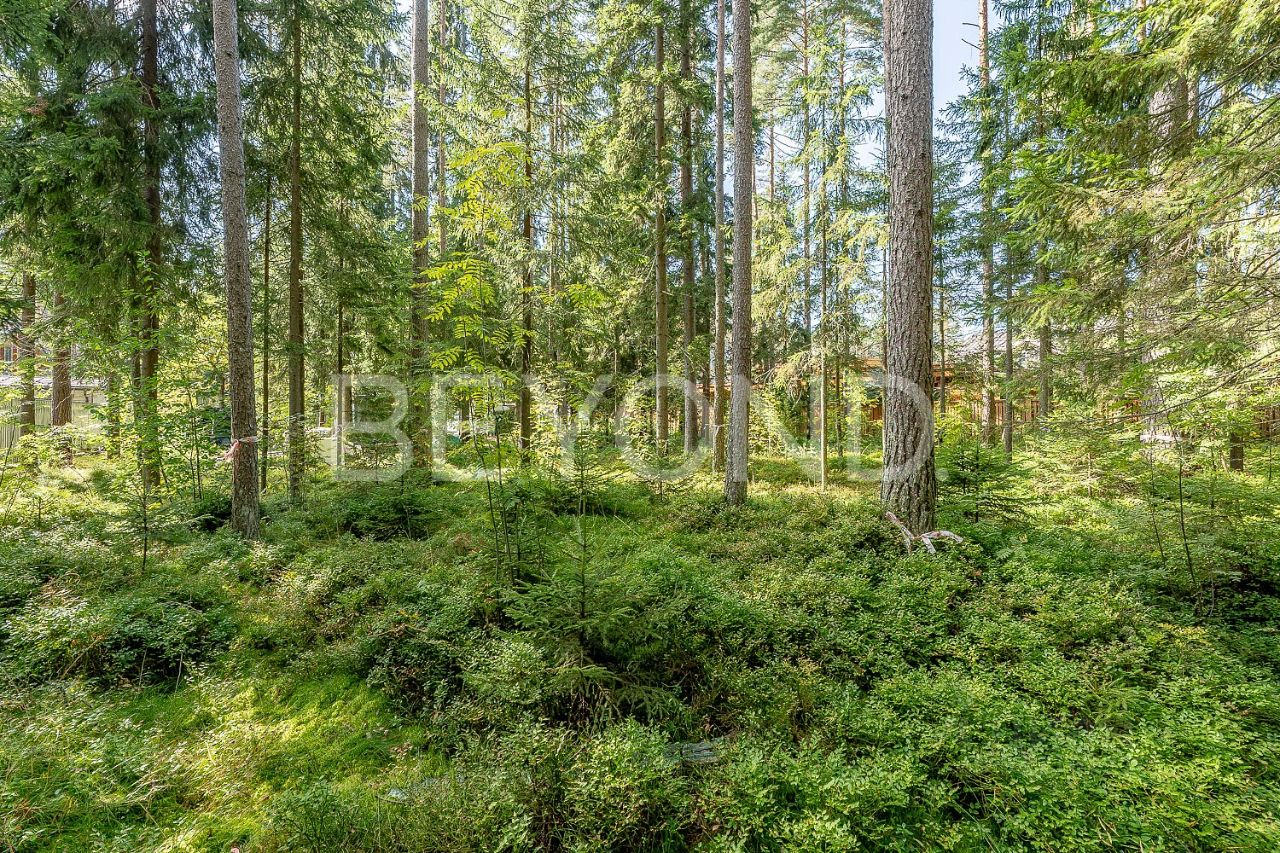 Продажа земли Зеленогорск, Курортная улица