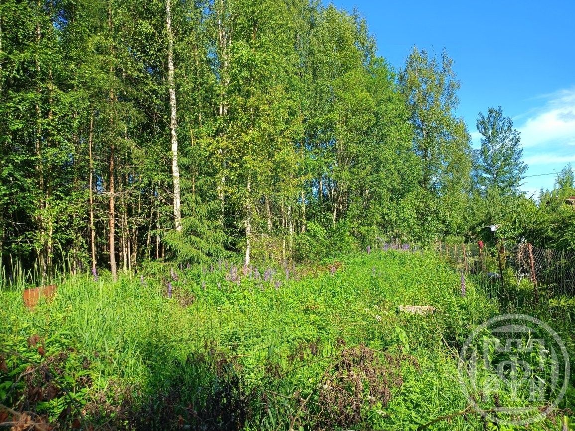 Продажа земли Спутник-2 СНТ