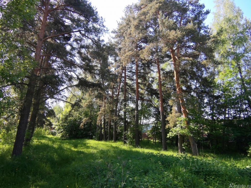 Продажа земли Райсемёновское, 46Н-11244